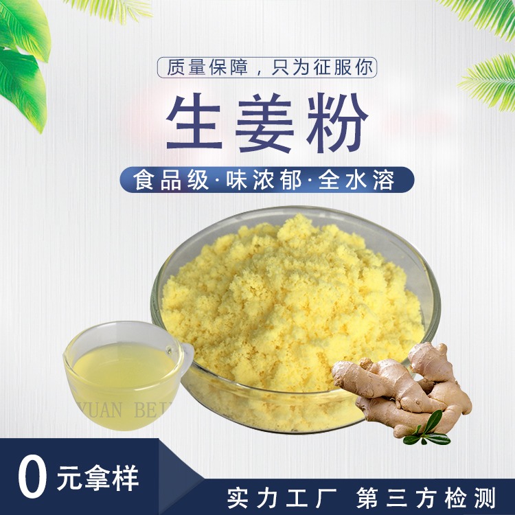 生姜提取物 壹贝子SC 源头厂家口味浓郁营养丰富生姜粉 食用生姜粉