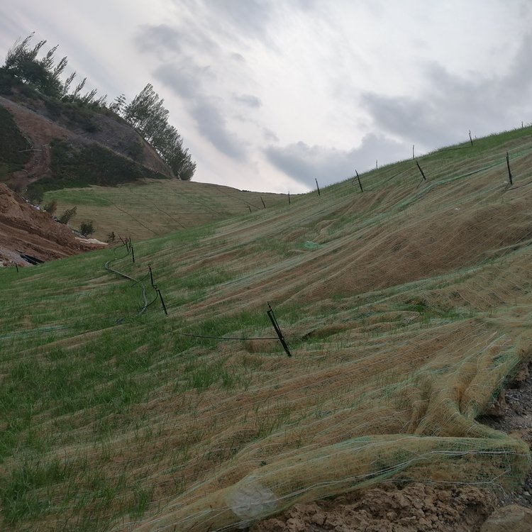 众汇煤矿生态恢复椰丝植生毯护坡
