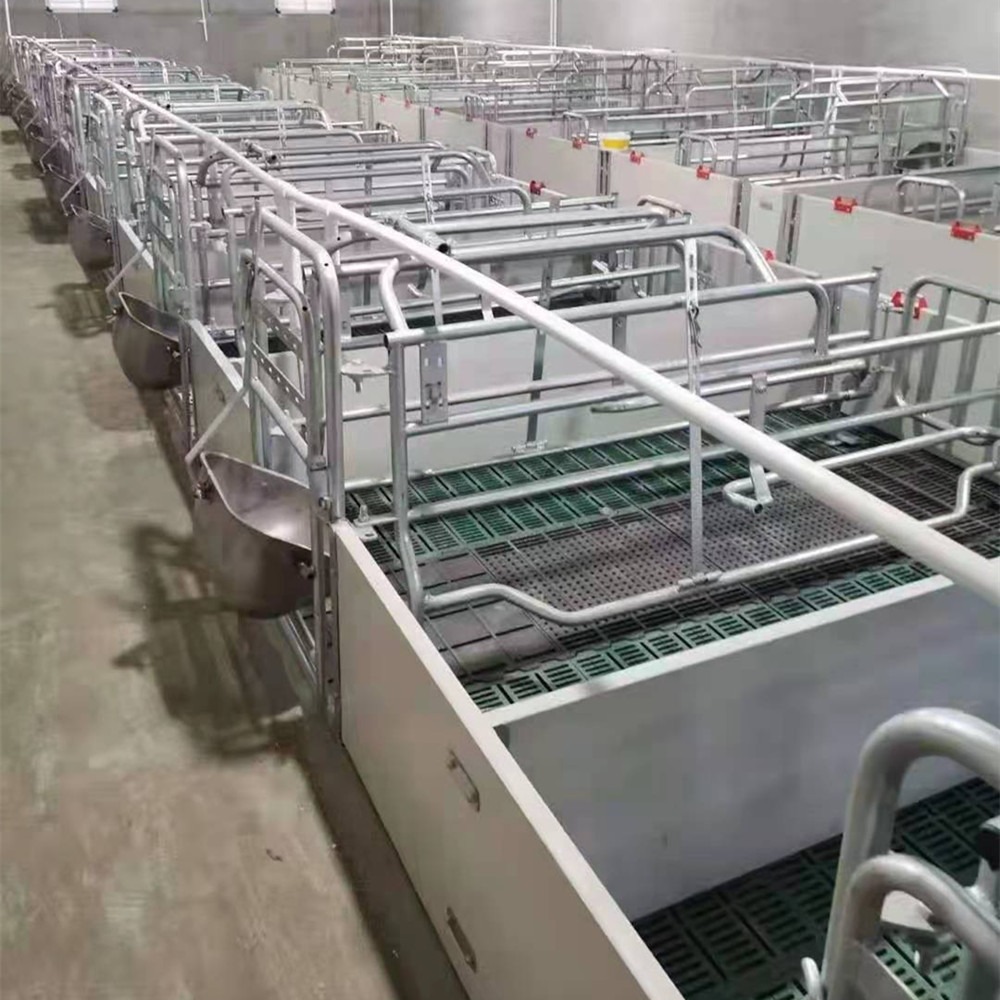 世昌畜牧供应 养殖场设备 新型欧式产床 015