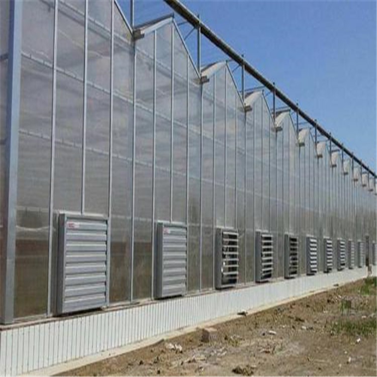 寿光玻璃温室建设 平顶框架种植大棚  旭航