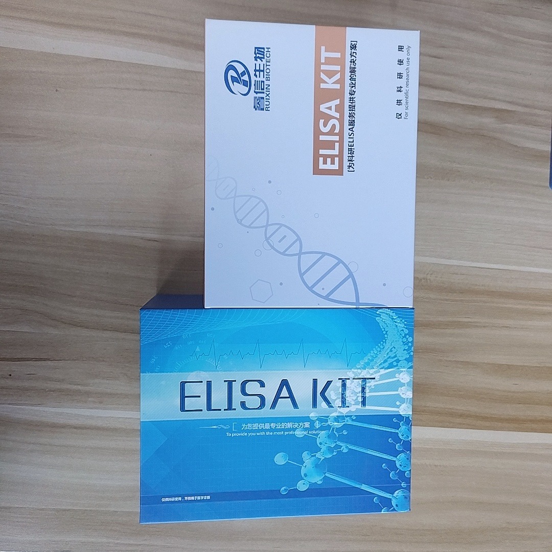 ELISA检测试剂盒 卵清蛋白 细胞因子 睿信生物图片