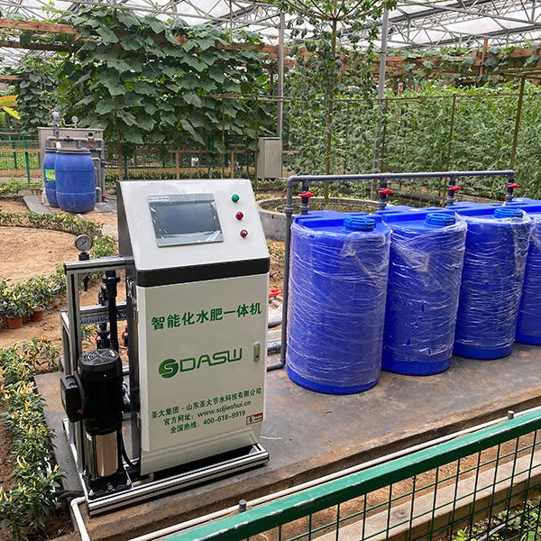 圣大节水 智能施肥机 水肥一体化设备 水肥一体机 无土栽培专用灌溉施肥系统 精准配肥