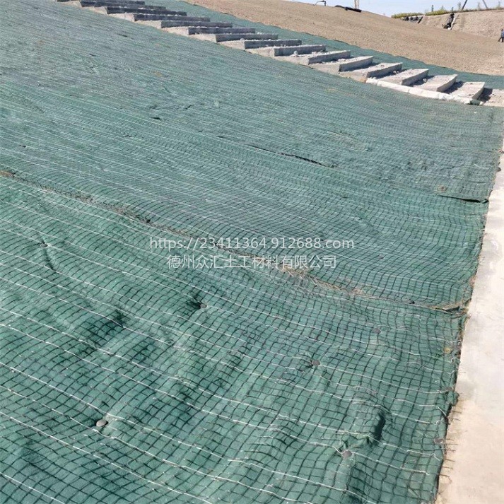 众汇土工材料高边坡防护植物纤维毯内置草籽植物纤维毯水土流失治理