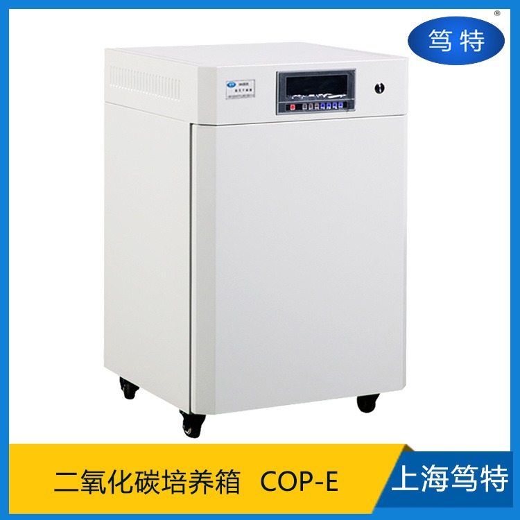 上海笃特COP-E微生物细胞培养箱 实验室CO2恒温培养箱