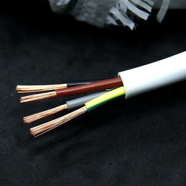 ZR-RVV22阻燃钢带铠装软电缆 RVVP软芯屏蔽电缆 小猫牌