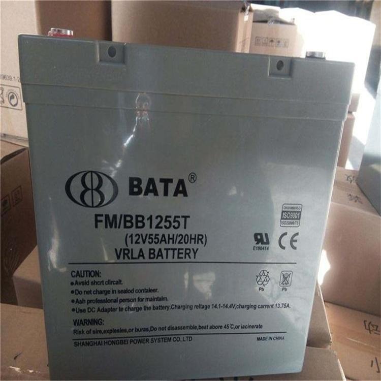 BATA鸿贝蓄电池FM/BB12100T 12V100AH风能系统