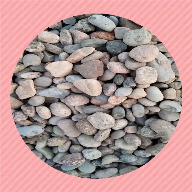 灵寿鹅卵石厂家 销售5-8cm天然鹅卵石 人工挑选5-8公分变压器鹅卵石垫层图片