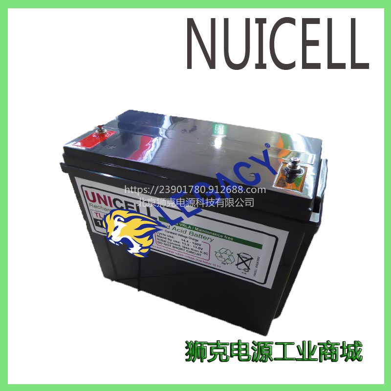 新加坡NUICELL蓄电池DLA12200F工业机器人机械臂12V20AH电瓶图片
