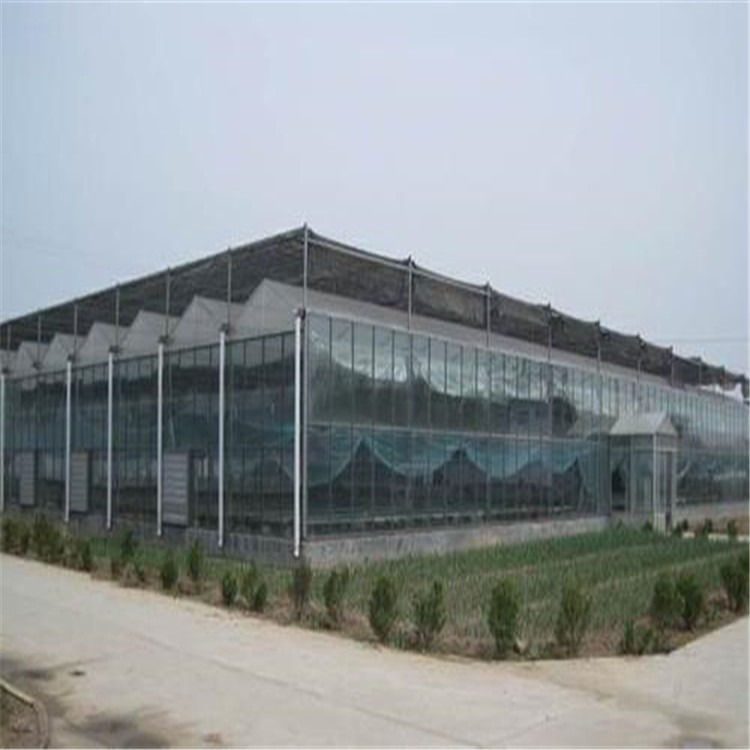玻璃钢温室大棚造价 新型节能型日光温室旭航温室工程建设厂家