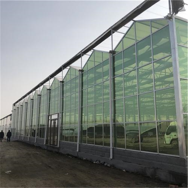 装配式单体大棚价位 钢化玻璃温室大棚的造价 旭航温室大棚