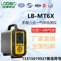路博LB-MT6X泵吸手提式气体分析仪3.5寸高清彩色屏图片