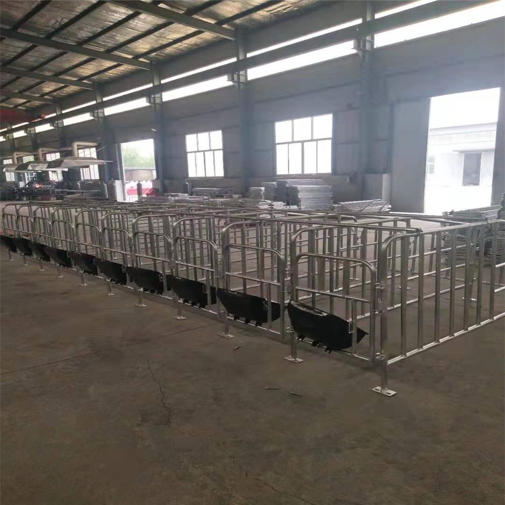 养猪设备限位栏供应厂家河北世昌畜牧机械