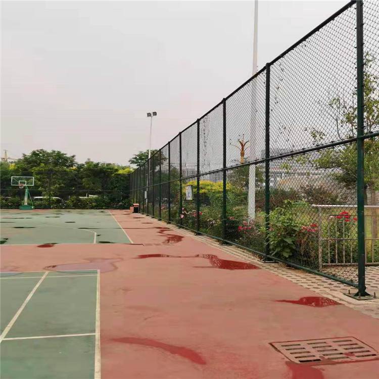 体育球场围网 球场围网灯柱 泰亿 篮球场围网图片 常年供应