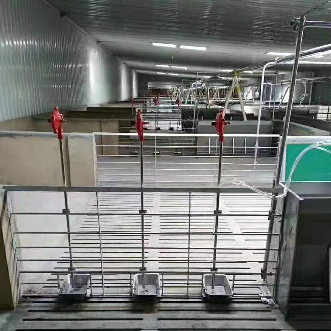 自动饲喂系统 猪哈哈设计供应 猪场自动上料设备 自动喂料线 节省人工提升效能
