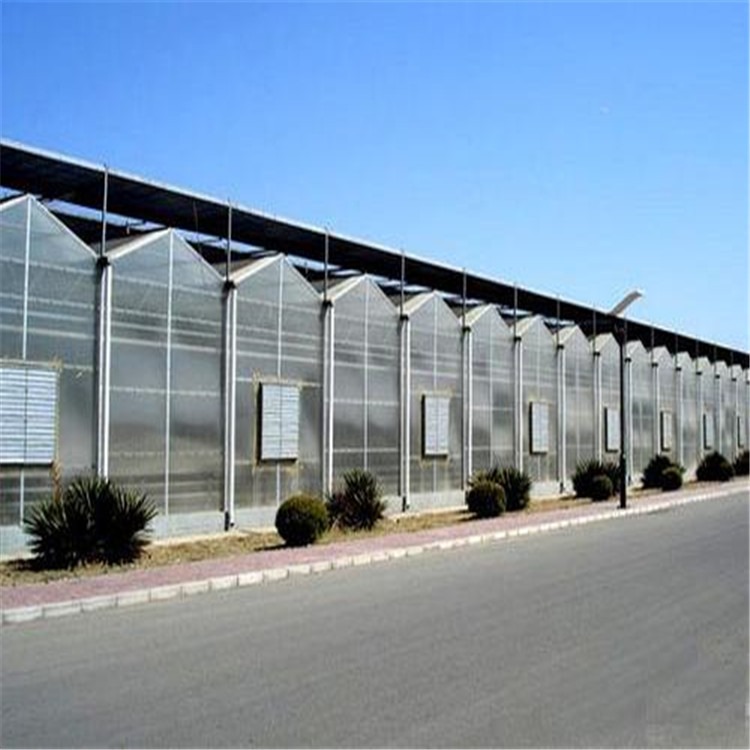 阳光板连栋温室 淄博玻璃温室建造商  旭航温室大棚建设