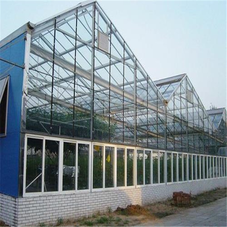 郑州原野温室工程 新型智能温室建设  旭航温室大棚建造