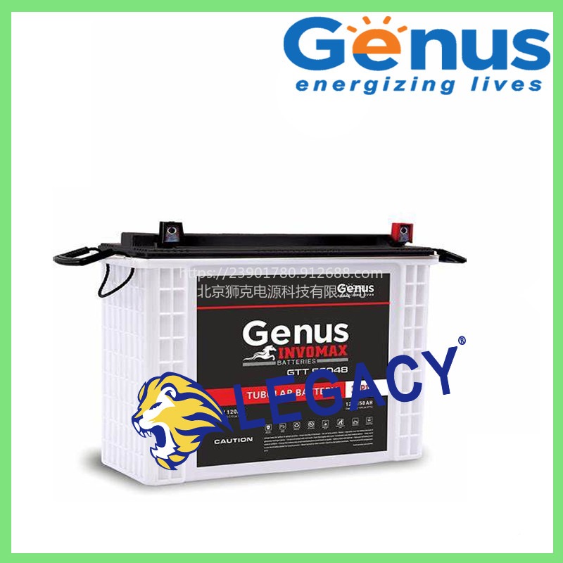 GENUS蓄电池GENUS 200AH/12V SMF 逆变电池