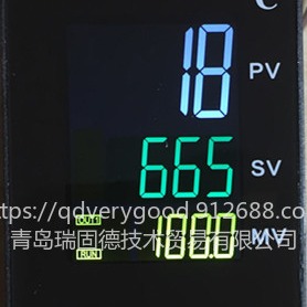 TM665-CAN0NNN温控表