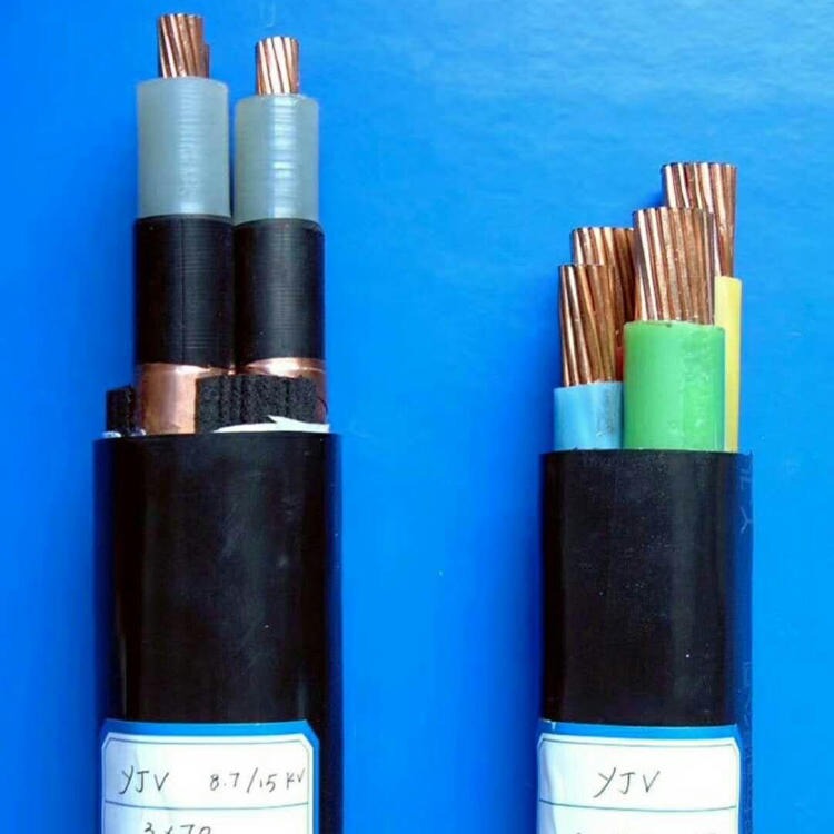 销售KYJVP2-22交联聚乙烯绝缘（阻燃）控制电缆