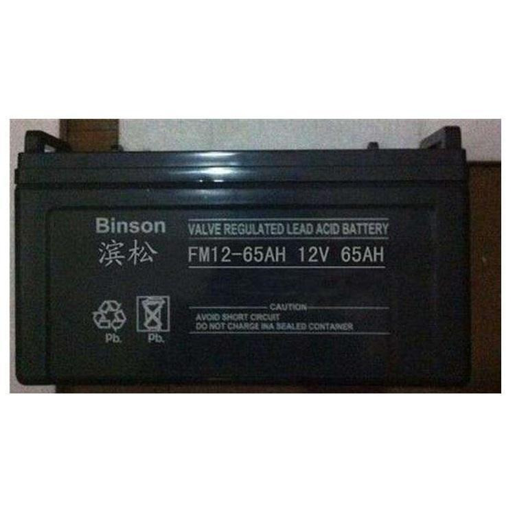 Binson蓄电池BS100-12 滨松12V100AH 阀控式储能型滨松蓄电池