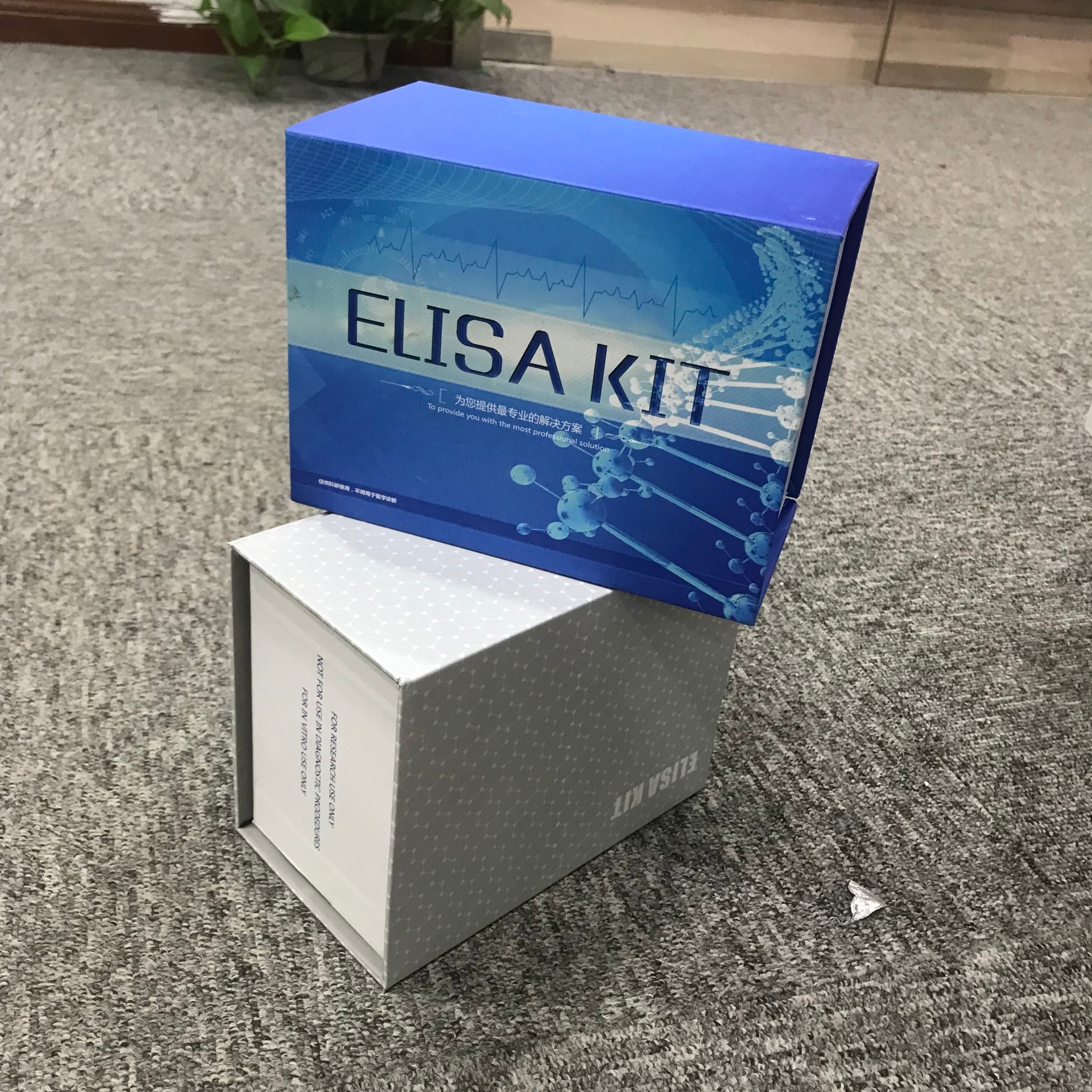 睿信生物 人H3N2流感IgG抗体（H3N2-IgG）ELISA试剂盒