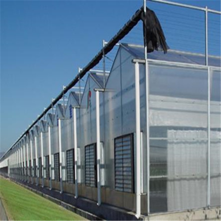 哈尔滨玻璃温室大棚 盖蔬菜大棚方案 旭航温室