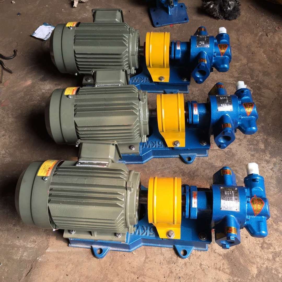 齿轮泵 2CY5-0.33燃油泵 润滑油泵 鸿海泵业