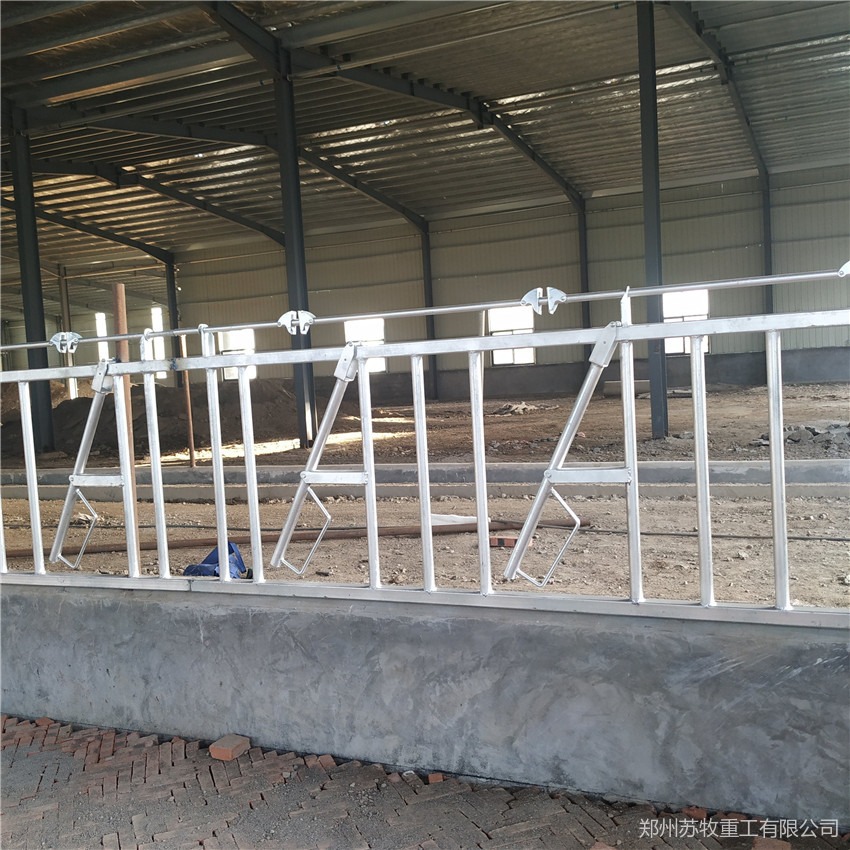 苏牧重工 供应牛颈枷 畜牧养殖机械  牛用自锁式牛颈夹 现货