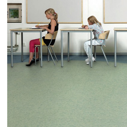 塑胶地板厂家直销 禄巨商用多层复合地板 塑胶地板卷材 医院商场地板 防腐环保