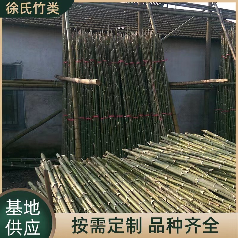 厂家批发打桩用竹梢 竹竿农业用 菜架竹 毛竹 等竹制品