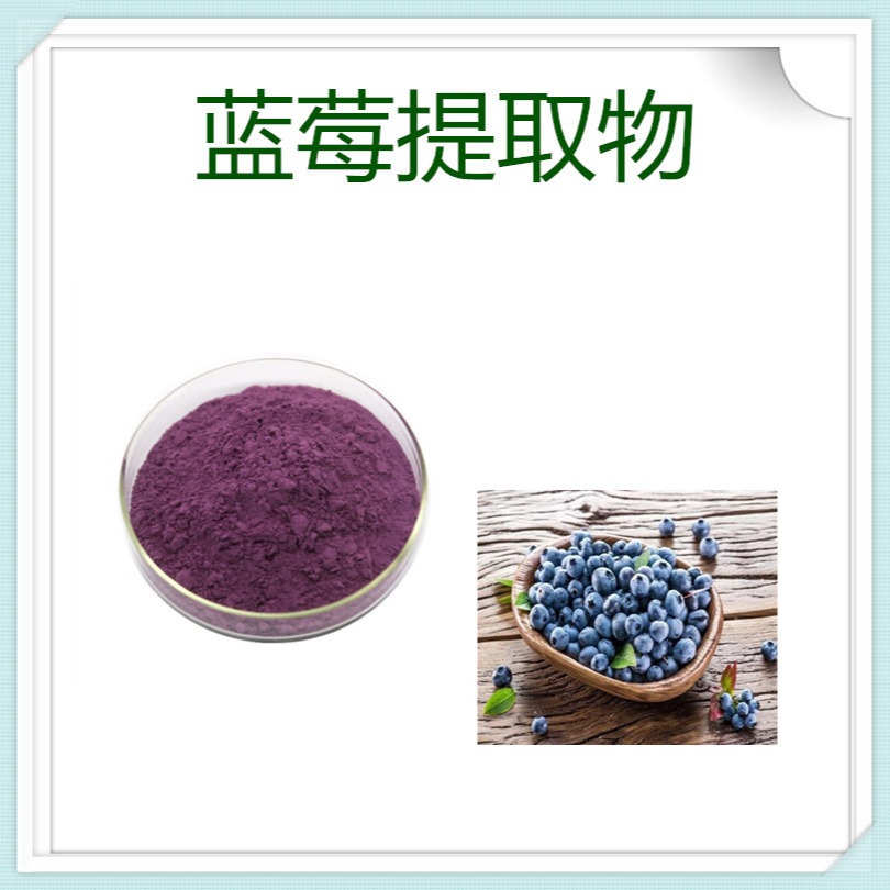 蓝莓取物10:1 速溶粉 药食同源原料
