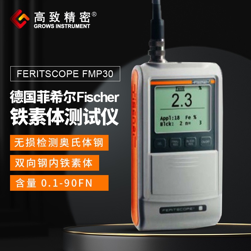 德国菲希尔Fisher 涂层测厚仪 Isoscope FMP30
