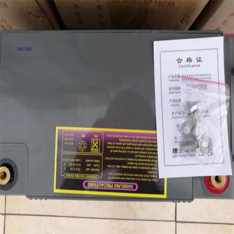 上海理士蓄电池机房专用电池DJM1265S现货供应