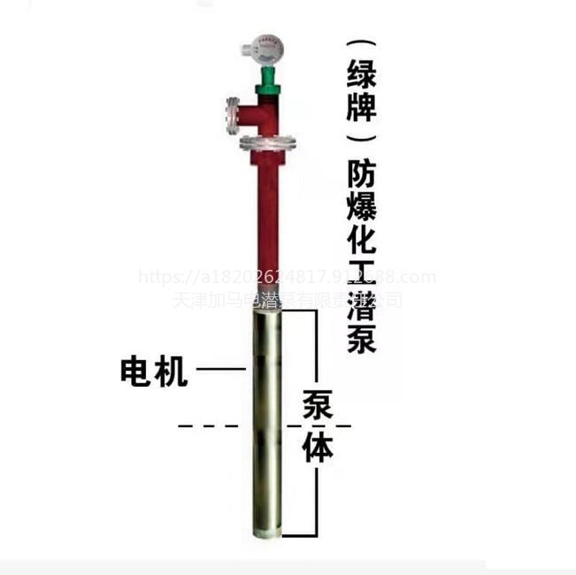 天津绿牌适用于地下罐0区防爆化工潜泵大流量