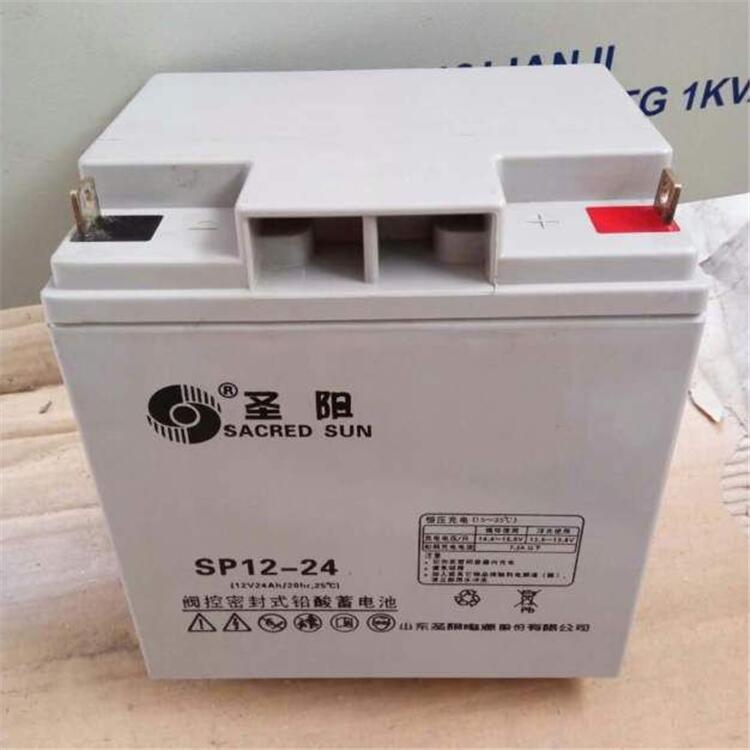 上海圣阳铅酸蓄电池铅酸免维护电厂 医疗 煤矿专用SP12-100图片