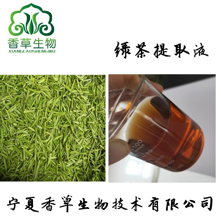 绿茶提取液 绿茶浓缩液3倍浓缩 绿茶浸膏 流浸膏