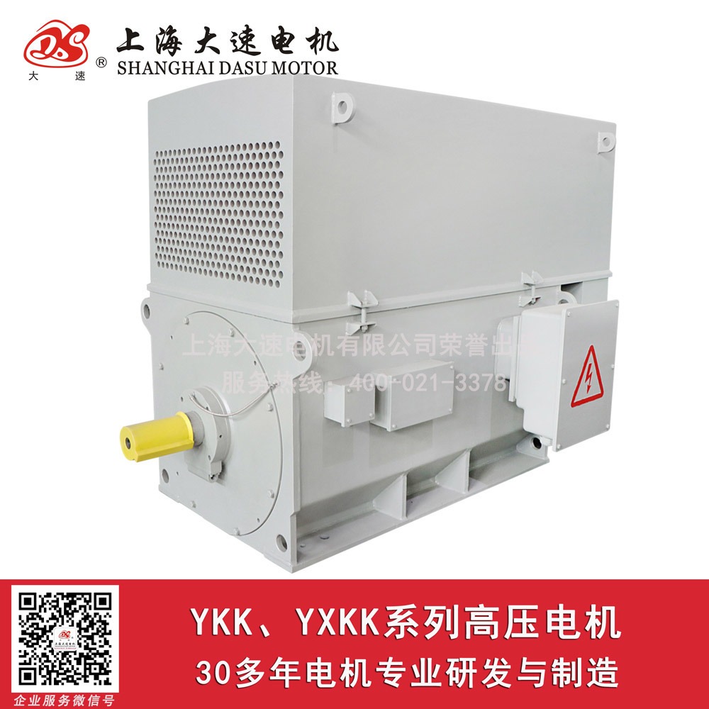 上海大速电机10KV/6KV高压电机高压防爆电机变频调速电机生产工厂直销