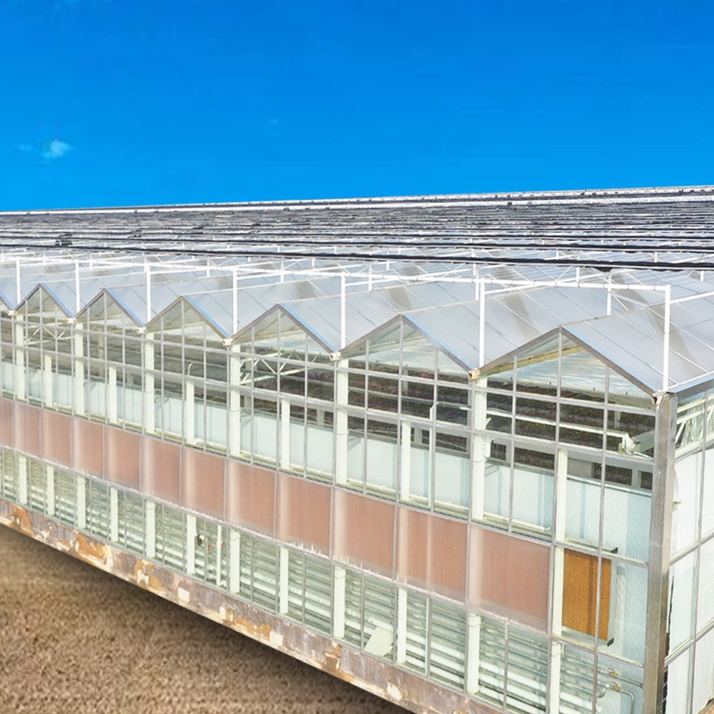 润隆农业 玻璃温室 钢结构温室 玻璃温室价格 玻璃大棚厂家