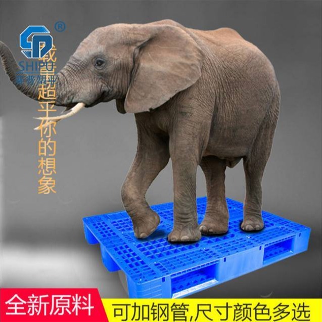 绵阳塑料托盘网格塑料托盘自贡川字塑料托盘厂家