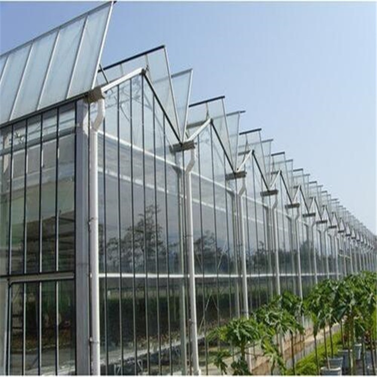 玻璃温室公司 博智能温室大棚 旭航温室大棚建设
