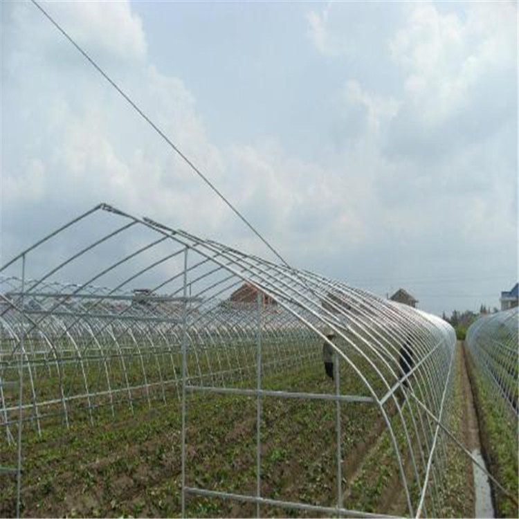 台湾新型阳光温室 水野菜大棚旭航温室大棚建设图片