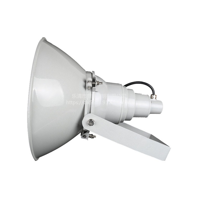 超强防震型投光灯WF258A-1000W欧司朗光源250W壁挂式钢铁厂灯具