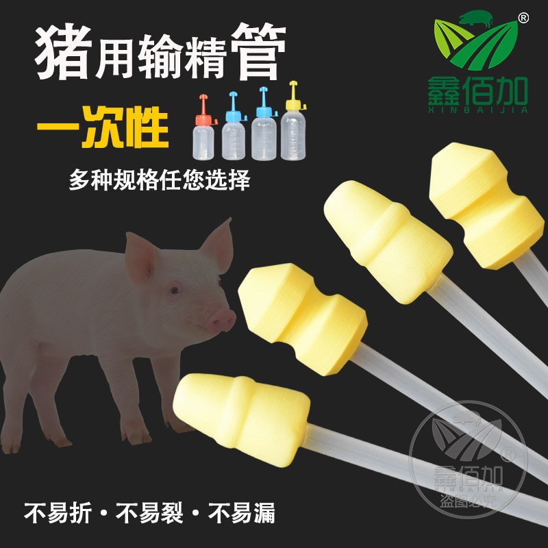 洛克输精管瓶 母猪人工授精输精管瓶 一次性标准输精瓶猪授精管母猪繁殖