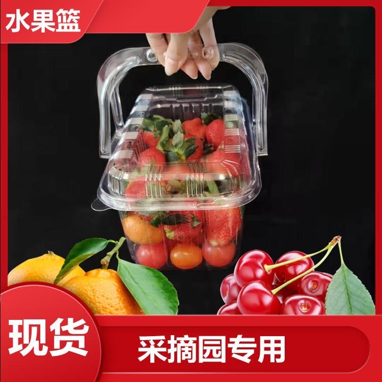 一次性透明加厚水果篮 手提水果蔬菜蓝 金桔草莓带盖提篮现货销售  定制定做水果篮图片