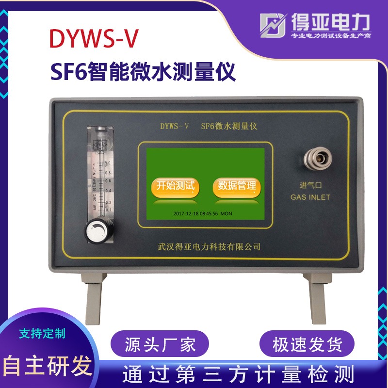 DYWS-V高精度智能微水测量仪 sf6气体微水测量仪 微水仪厂家 微水仪进口传感器 得亚电力厂家