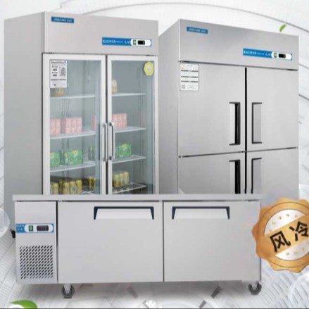 金松商用冰箱 DB1.0L2U大二门冷藏展示柜 金松风冷双门保鲜柜