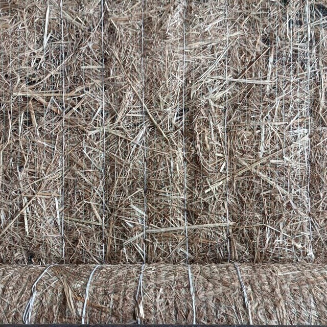 现货销售 植物纤维毯 护坡植草毯 200g椰丝毯厂家图片