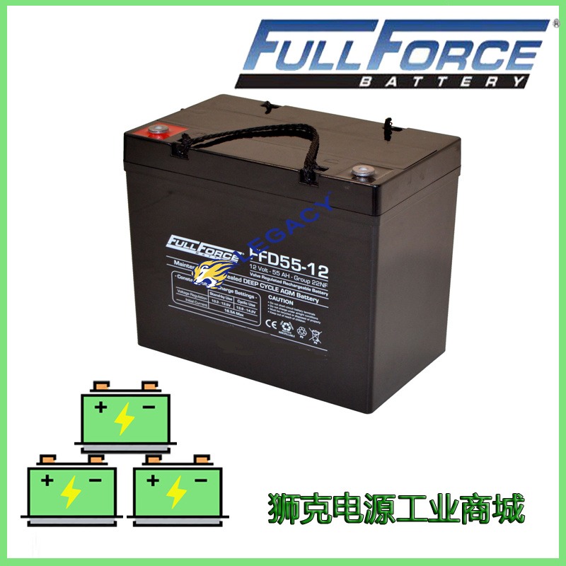 美国FULL FORCE蓄电池FFD55-12 12V55AH工业医疗设备电瓶