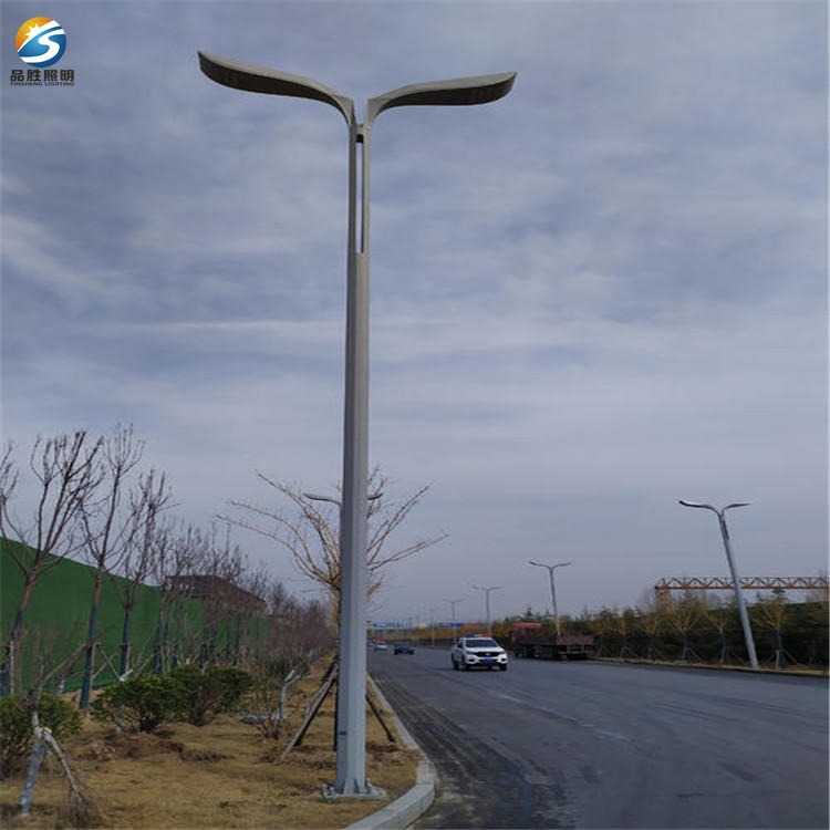 户外路灯厂家直销 市政工程单双臂路灯 6-12米双臂路灯杆可定制