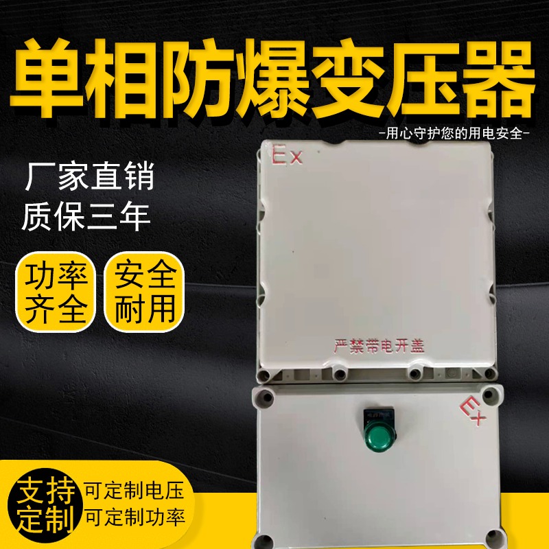 上海统变 Exd防爆控制箱bbk2kw4kw5kw照明220V变36伏24v12v行灯变压器订做图片